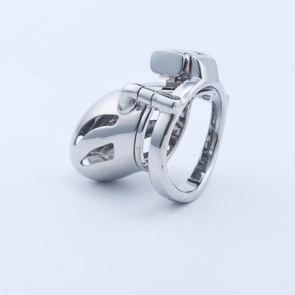 Steel Custom Chastity Cage With PA T12 - 3
