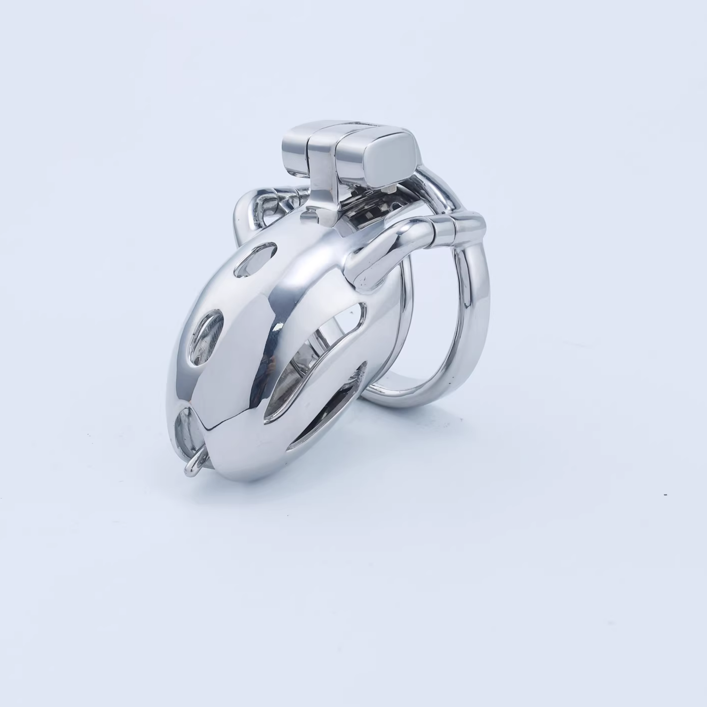 Steel Custom Chastity Cage With PA T12 - 7