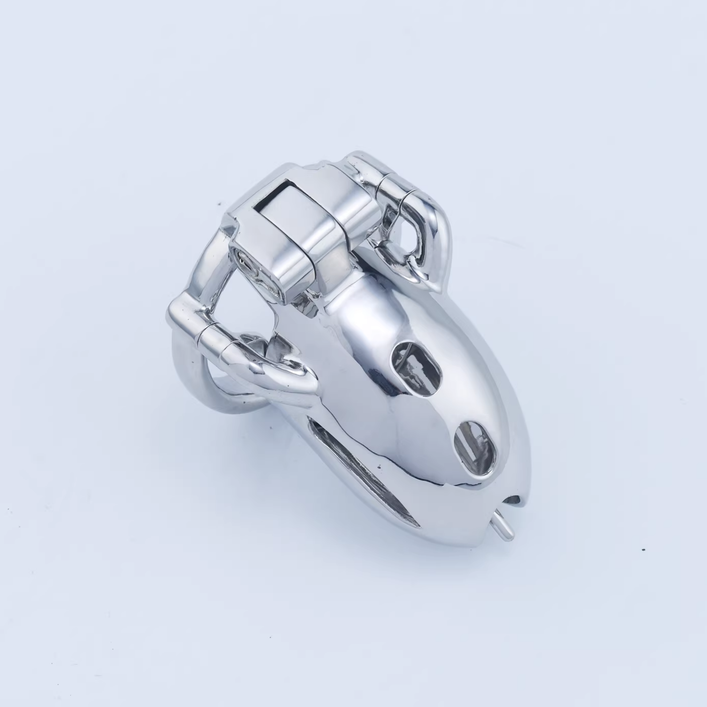 Steel Custom Chastity Cage With PA T12 - 3