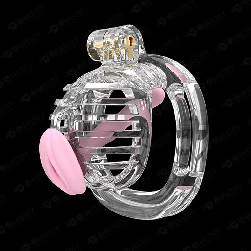 Small Chastity Cage 5 Colors to choose