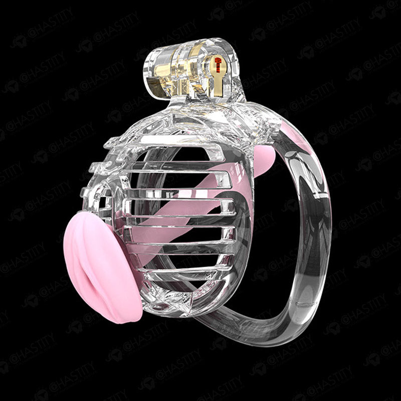 Small Chastity Cage 5 Colors to choose