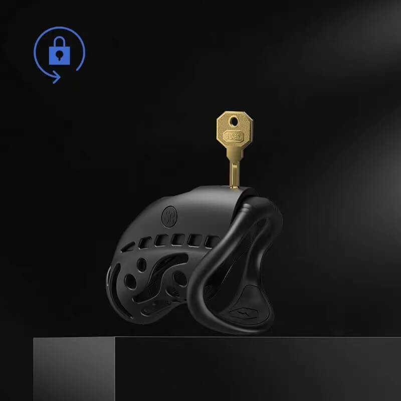 Wireless Remote Control Electric Shock Chastity Cage